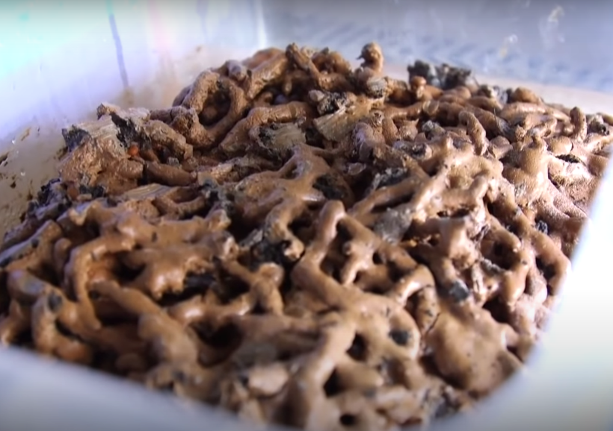 Thao duoc dau tien trong lich su Trung Quoc duoc phat hien o co mo hinh anh