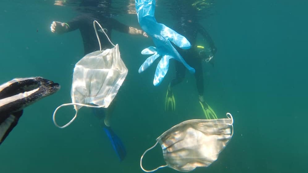 Ngoai suc khoe, Covid-19 con gay ra mot tham hoa khac hinh anh