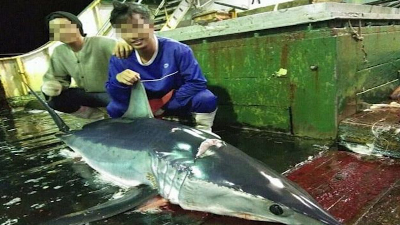 Cuoc song thuyen vien Indonesia tren tau TQ bi nem thi the xuong bien hinh anh