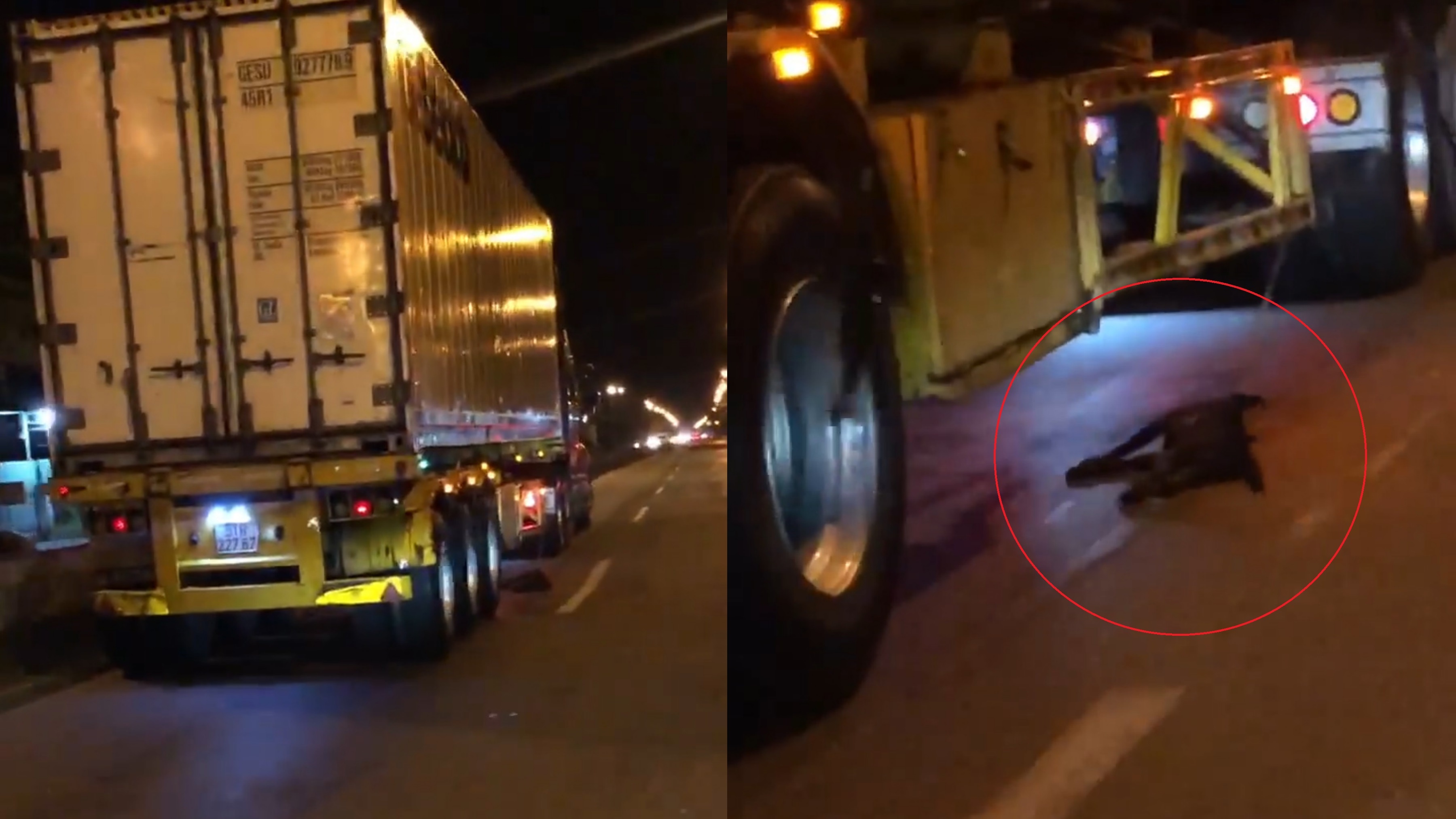 Chu cho bi xich vao xe container, keo le tren duong hinh anh