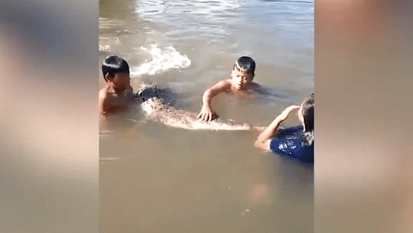 Dam tre vo tu dua gion, tam chung voi ca sau o Malaysia hinh anh