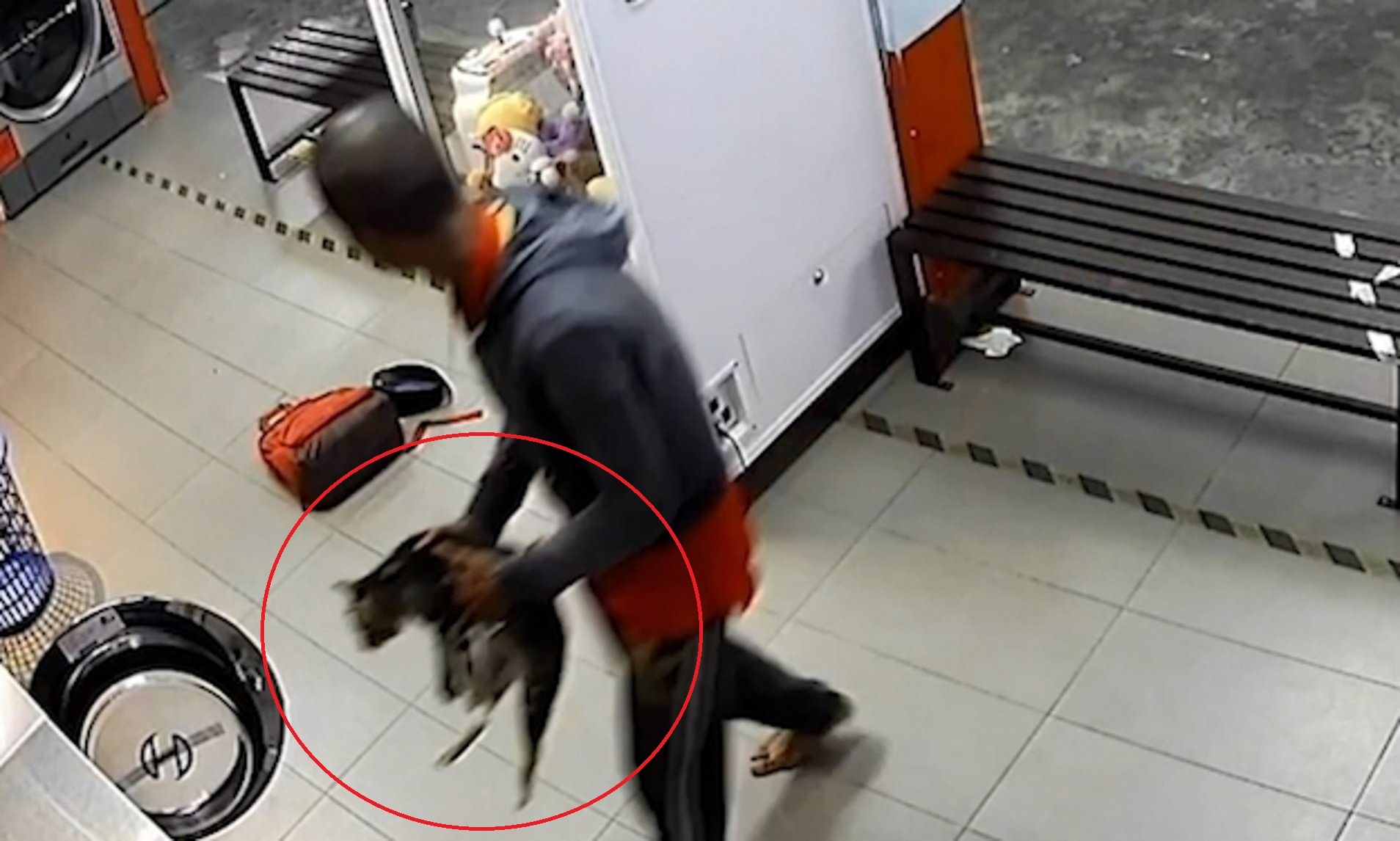 Nguoi dan ong bi bat sau khi bo 3 chu meo vao may giat hinh anh