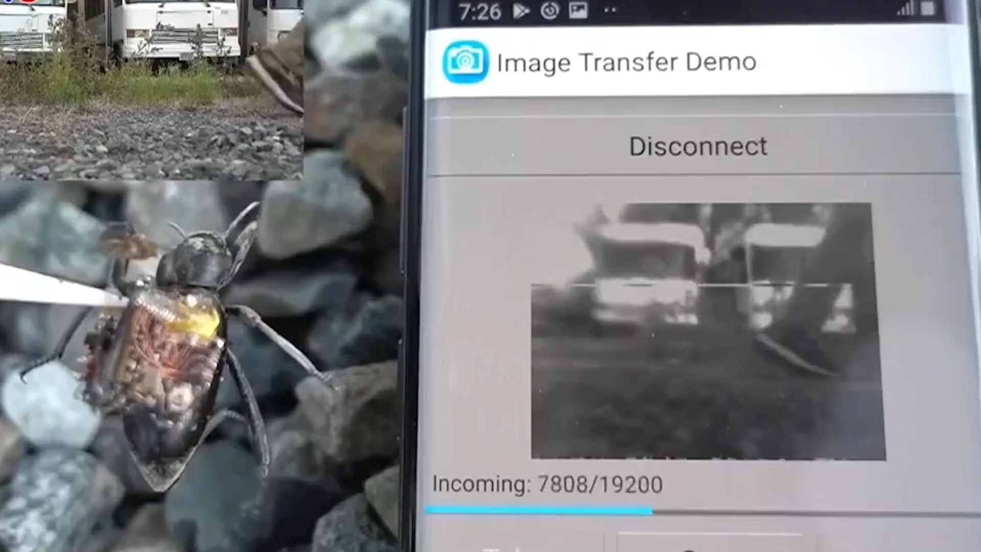 Camera sieu nho lap tren lung bo canh cung hinh anh