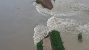 Cho no de de xa lu o ha du song Truong Giang hinh anh