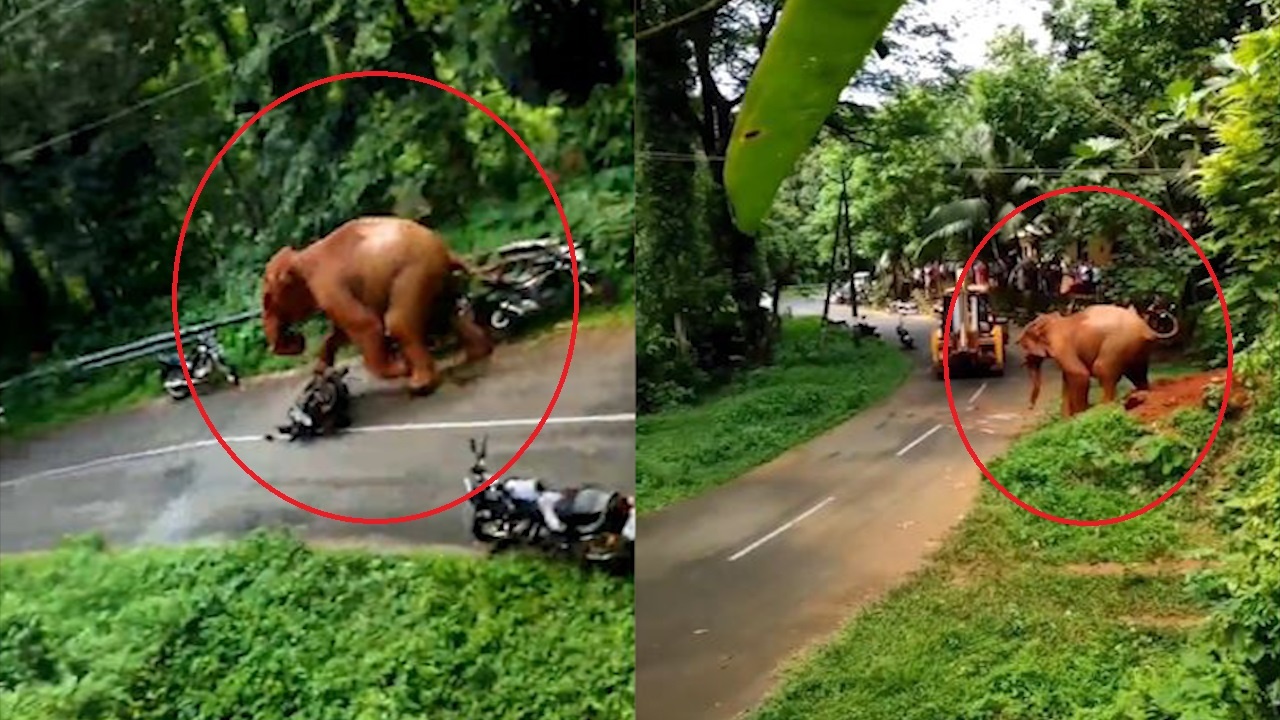 Voi rung dap vang hang loat xe may o An Do hinh anh