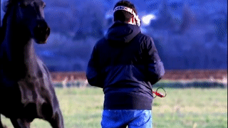 Ngua phi nuoc dai dam vao nguoi dan ong dieu khien drone hinh anh