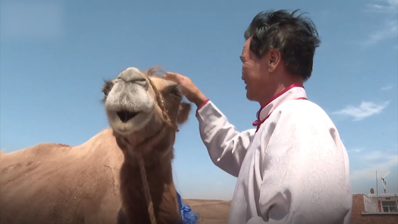 Lac da di hon 100 km tren sa mac de tim lai chu cu hinh anh