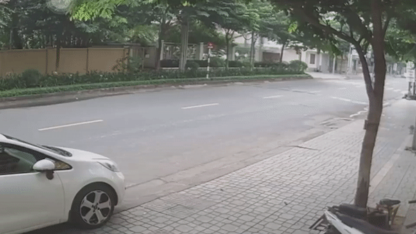 Cho tha rong lao sang duong gay tai nan cho xe may hinh anh