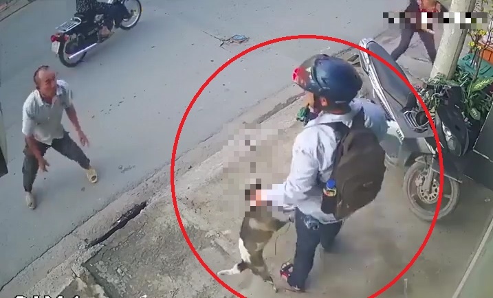 Trom bat cho truoc mat chu giua ban ngay hinh anh