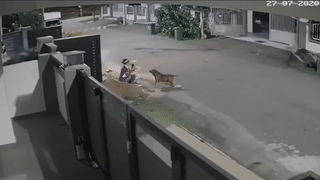 Thanh nien lai oto cuu nguoi phu nu bi cho du can o Trung Quoc hinh anh