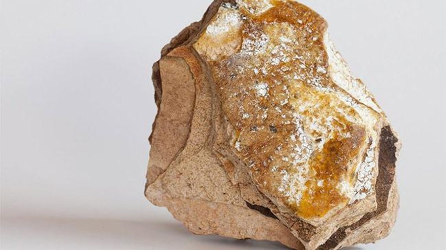 Lan theo dau vet cua nhung 'cuc vang' noi troi tren bien hinh anh