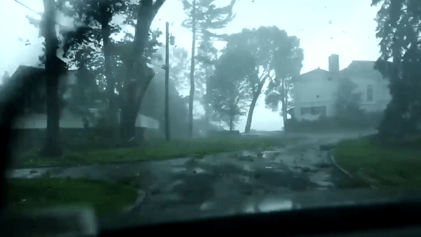 Cay do trong bao de trung oto dang chay tren duong hinh anh