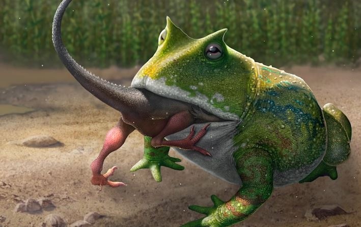 Loai ech to nhat trong lich su, co the san ca khung long con hinh anh