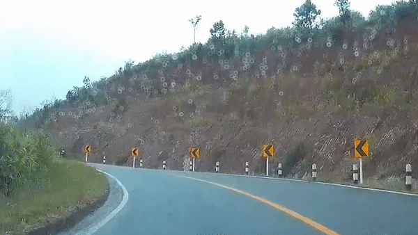 Vao cua o toc do cao, nguoi di xe may nga nhao tai Thai Lan hinh anh