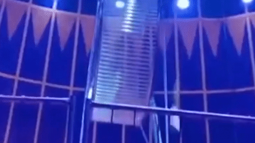 Nguoi nhao lon tu nan sau khi roi tu banh da cao 8 m hinh anh