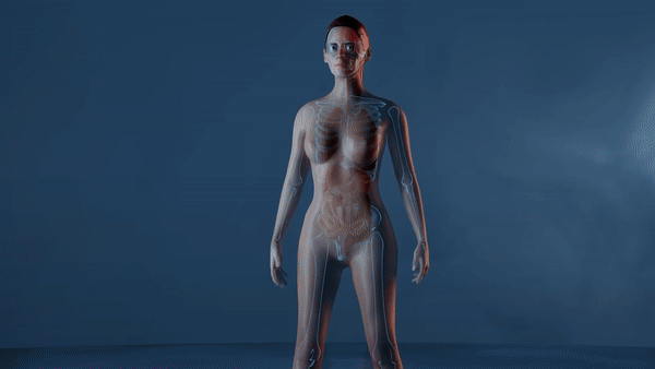 Se ra sao neu ban nhin duoc vao ben trong co the minh? hinh anh