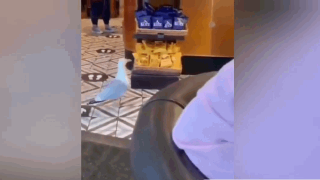 Hai au than nhien vao cua hang trom bim bim hinh anh