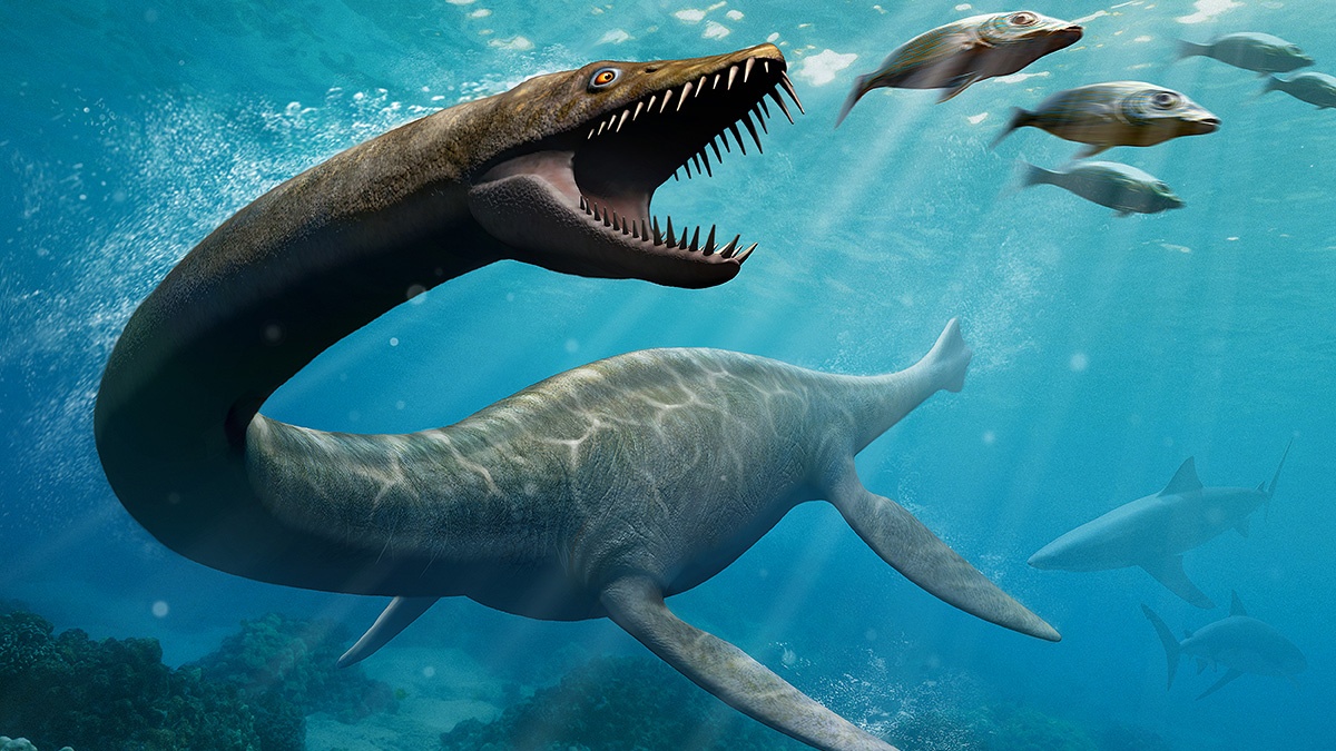 Thuy quai co rang sac nhu dao, biet 'tang hinh' de san moi hinh anh