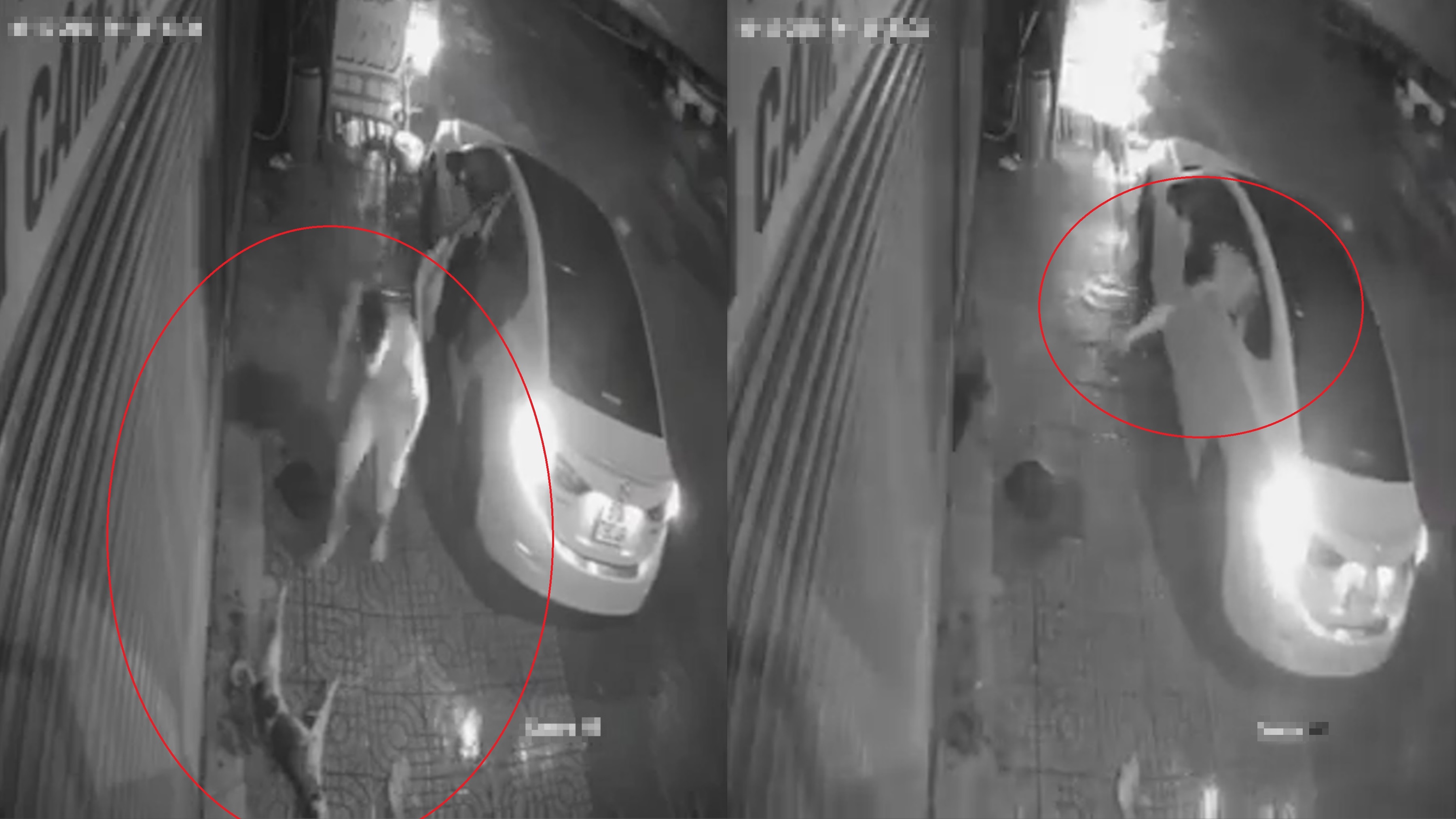 Trom lai oto bat cho trong dem hinh anh