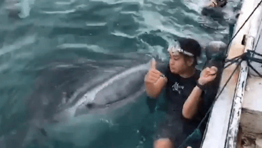 Dang tao dang, du khach hoang hot thay ca nham voi dop moi ben canh hinh anh