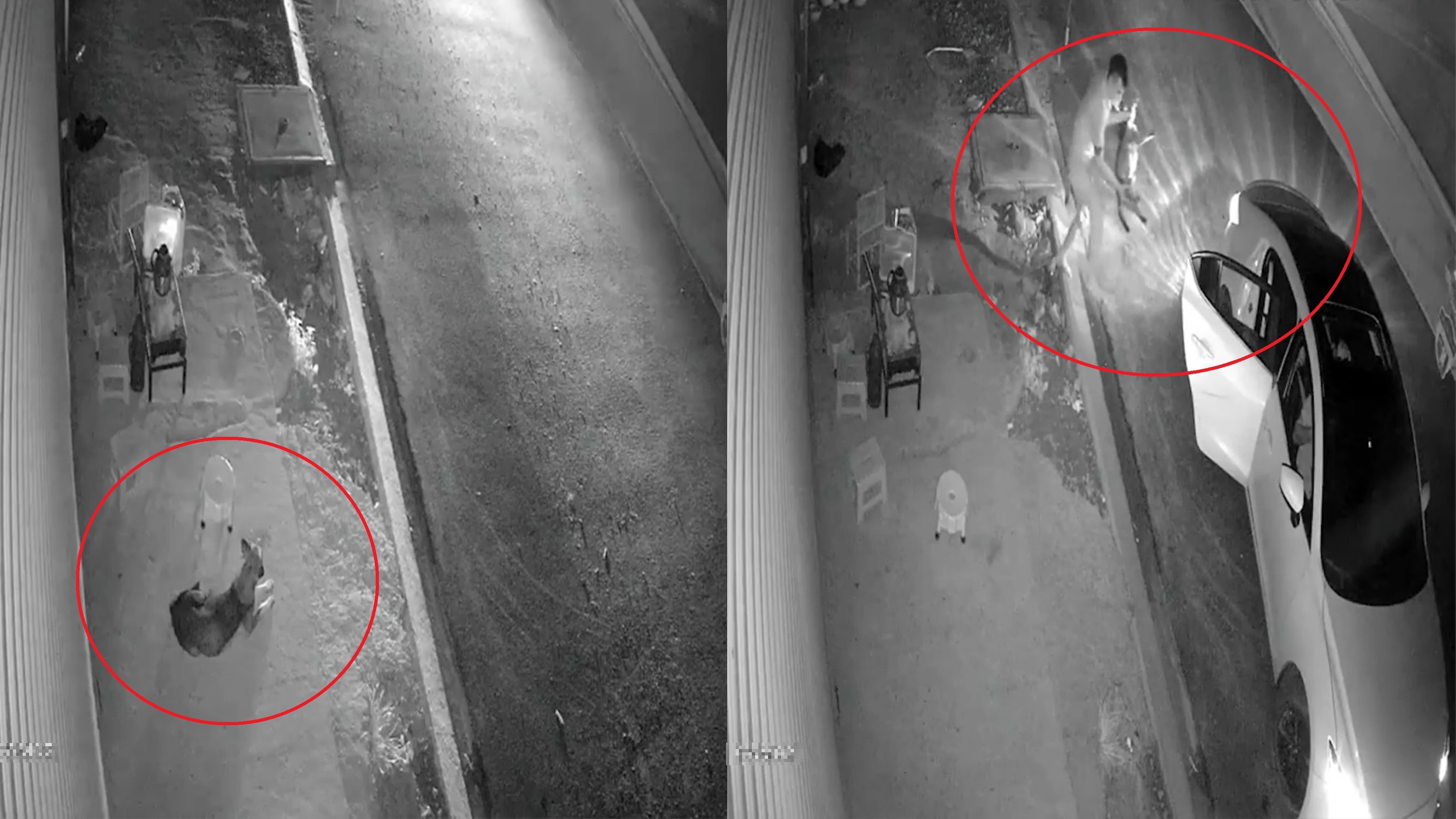 Di oto trom cho trong dem hinh anh