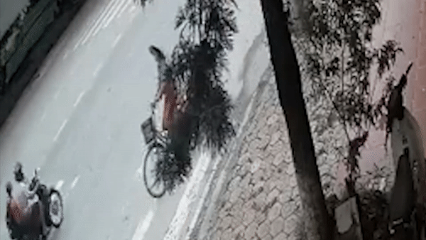 Xe dap sang duong au bi xe may dam trung hinh anh