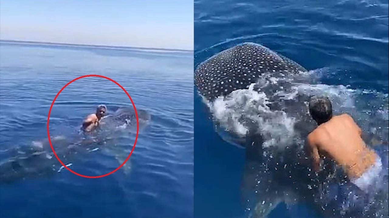 Nguoi dan ong cuoi ca nham voi o Bien Do hinh anh