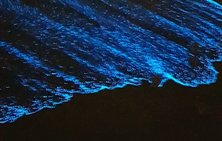 Song bien phat sang mau xanh o My hinh anh