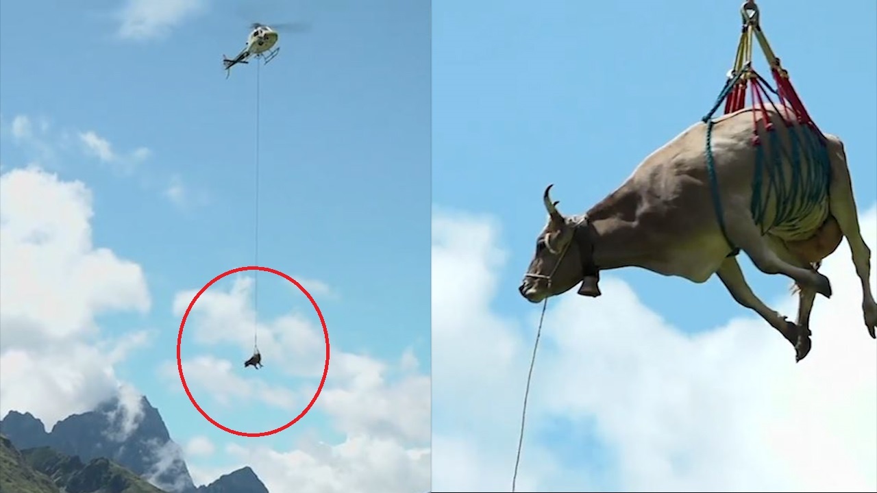 Dung truc thang di chuyen bo o Thuy Si hinh anh