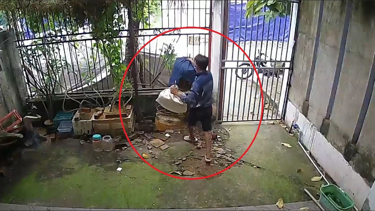 Cat rao sat trom long chim hinh anh