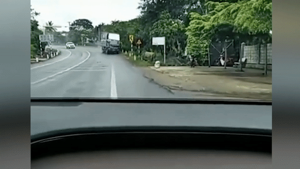 Xe tai truot dai, de chet nguoi hinh anh