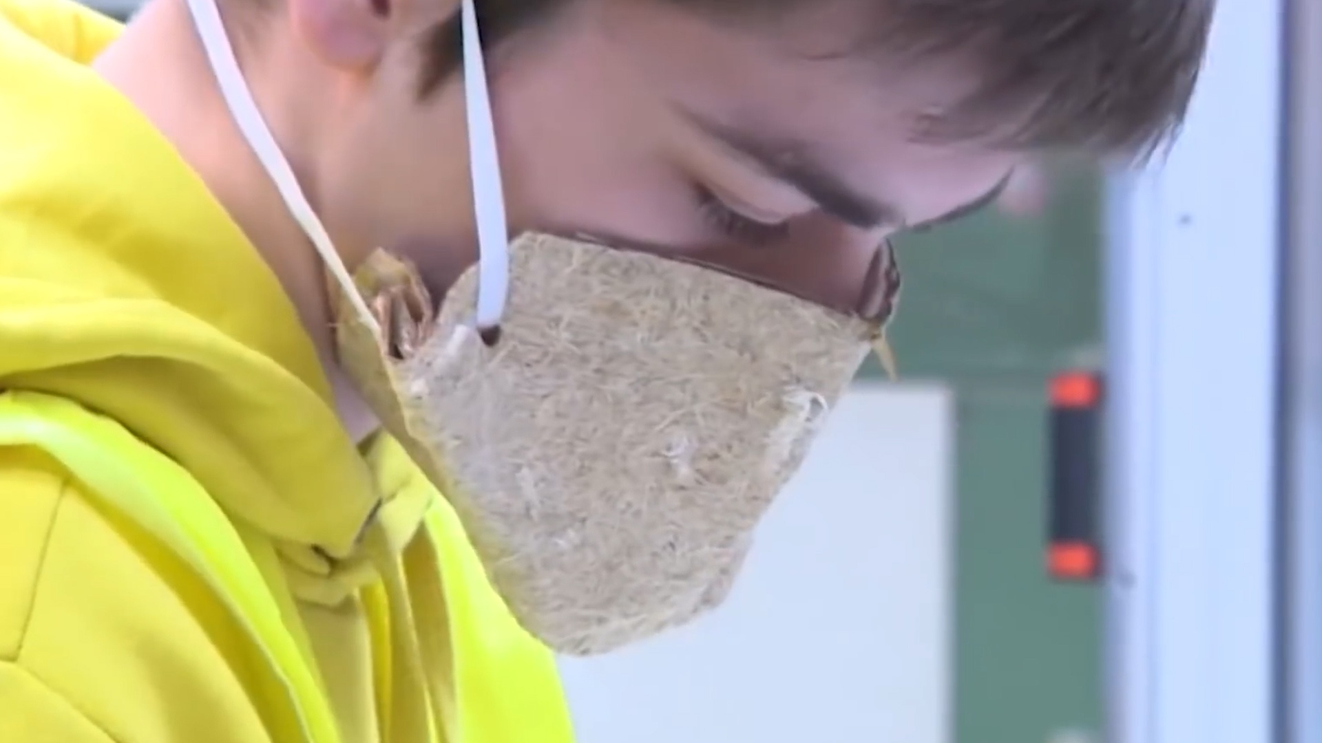 Khau trang tu huy 100% lam tu soi gai dau hinh anh