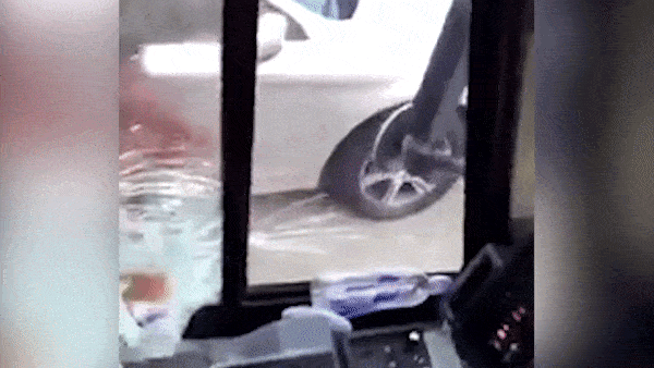 Co gai dap kinh xe buyt o My hinh anh