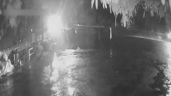 Xe container dam oto tai tren deo Bao Loc hinh anh