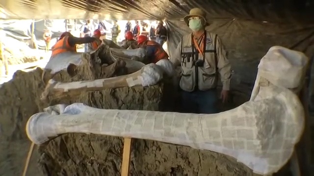 Phat hien 200 bo xuong voi ma mut o san bay Mexico hinh anh