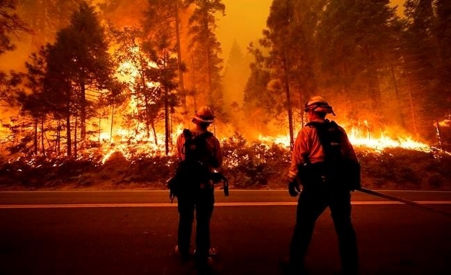 Phao hoa tu tiec gia dinh gay chay rung o My hinh anh