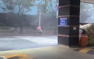 Nguoi Han Quoc chat vat di bo trong bao Haishen hinh anh