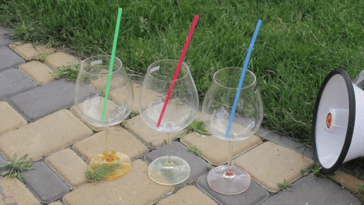 Thu nghiem dung am thanh lam vo ly thuy tinh hinh anh