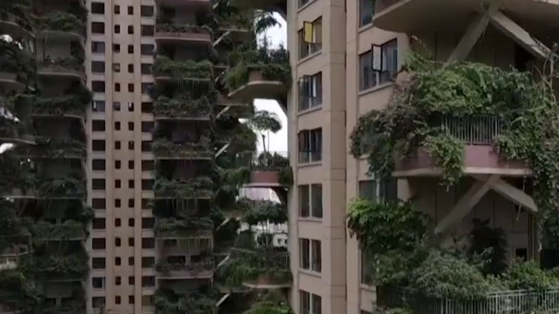 Muoi tan cong chung cu xanh o Thanh Do hinh anh