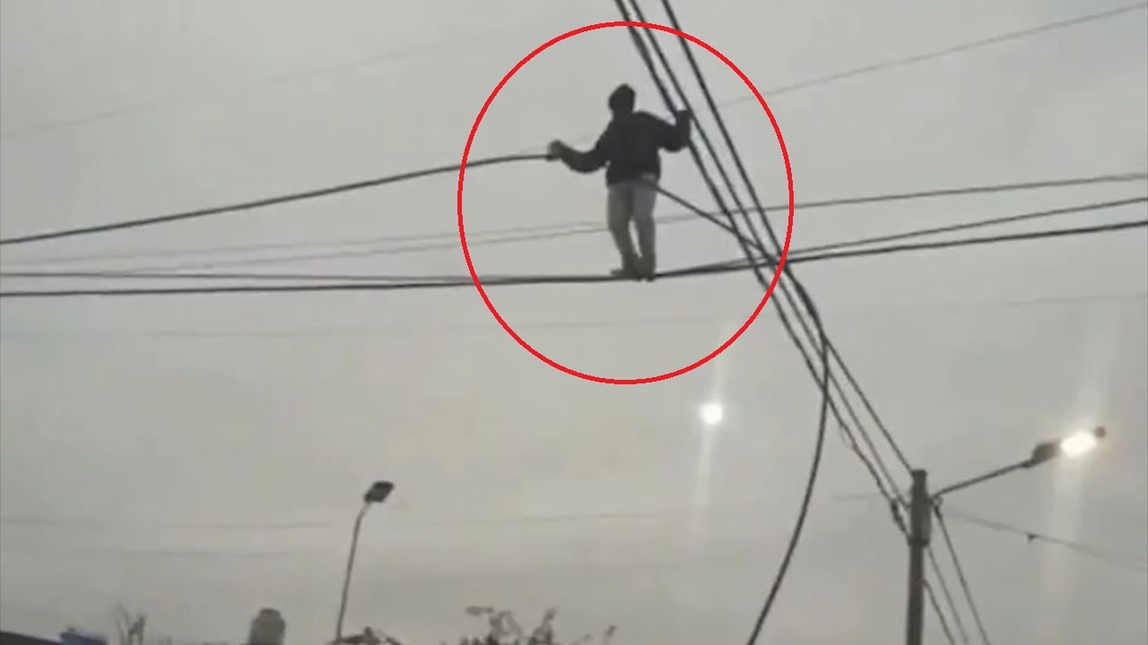 Nguoi dan ong di tren day dien de cat trom cap hinh anh