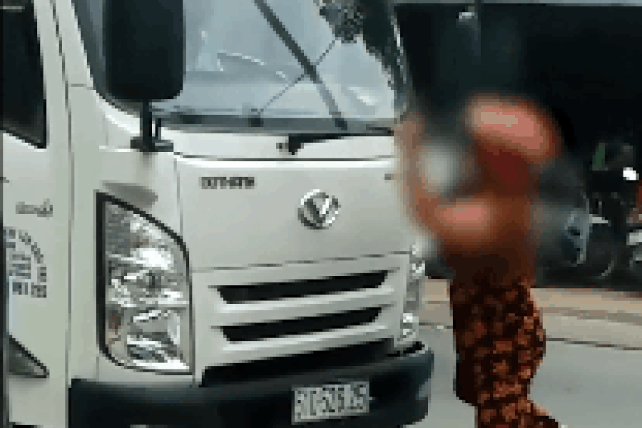 Nguoi phu nu chan dau xe tai, be gay can gat nuoc hinh anh