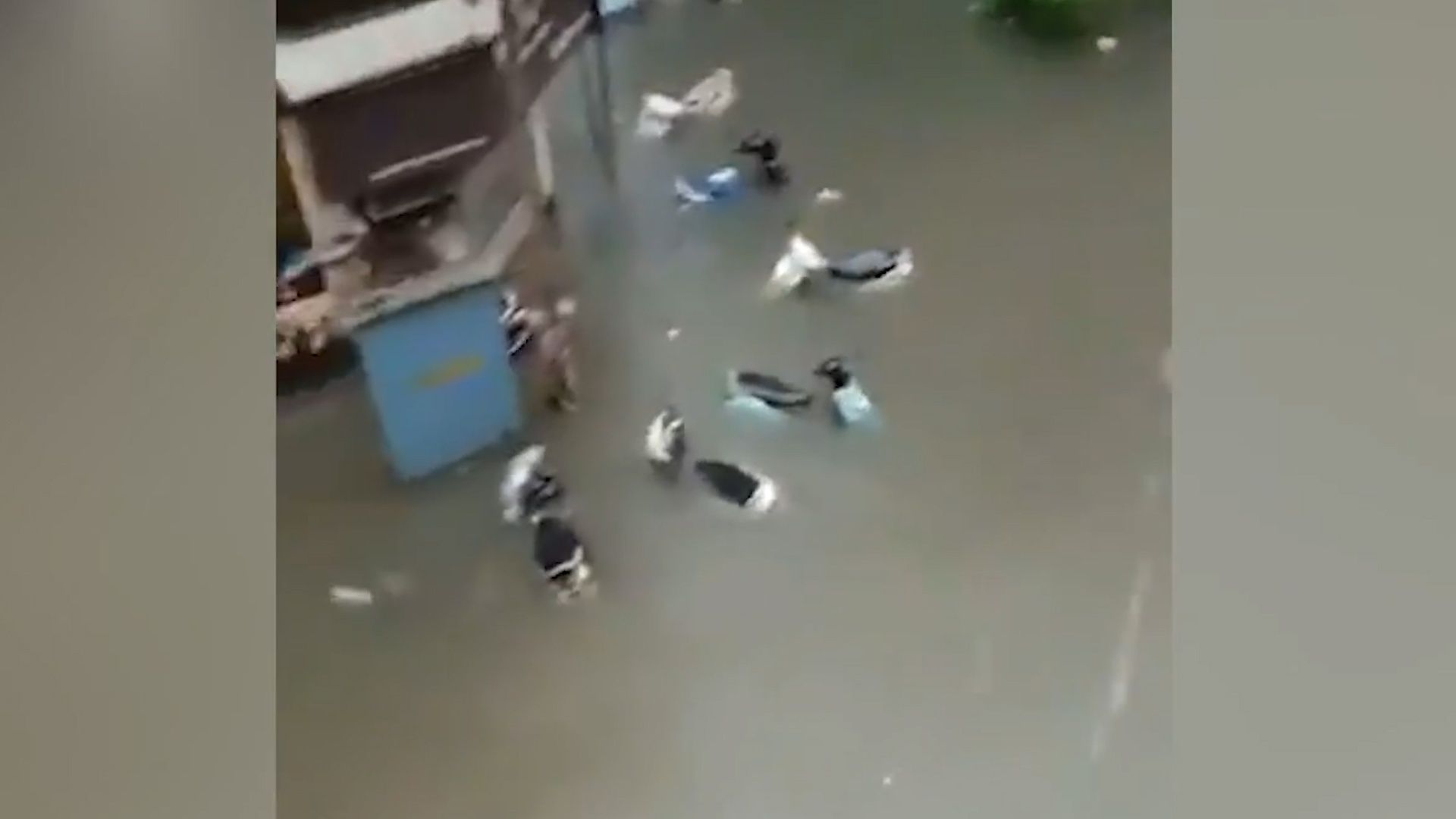 Khu pho ngap lut sau tran mua o An Do hinh anh