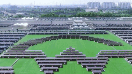 Nha ga bien thanh tram nang luong Mat Troi o Thuong Hai hinh anh