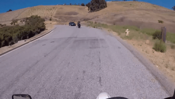 Oto lan lan dam truc dien xe may hinh anh