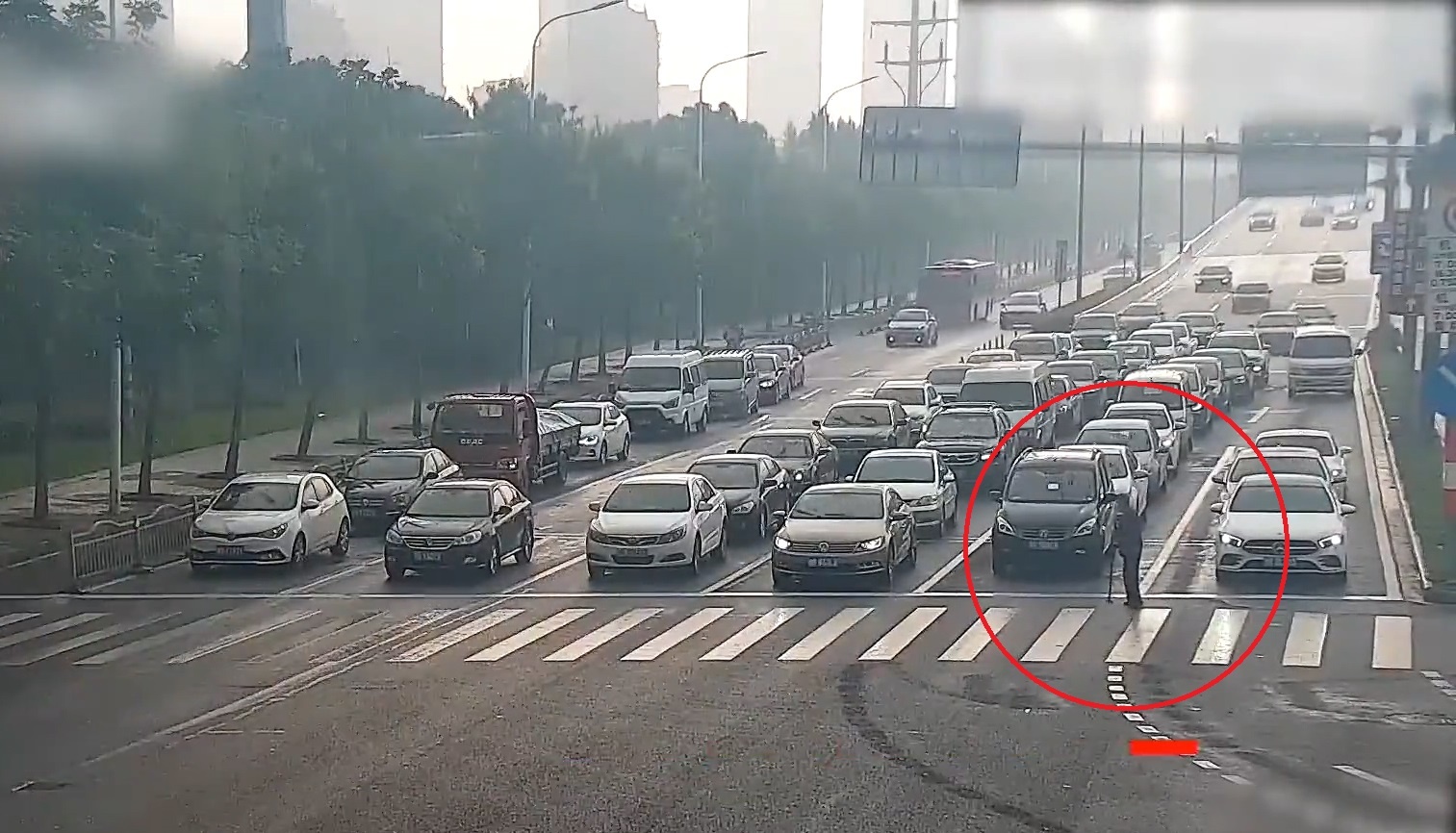 Hang dai oto dung lai cho cu ong qua duong o Trung Quoc hinh anh