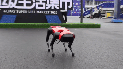 Cho robot duoc ra mat tai Thuong Hai hinh anh