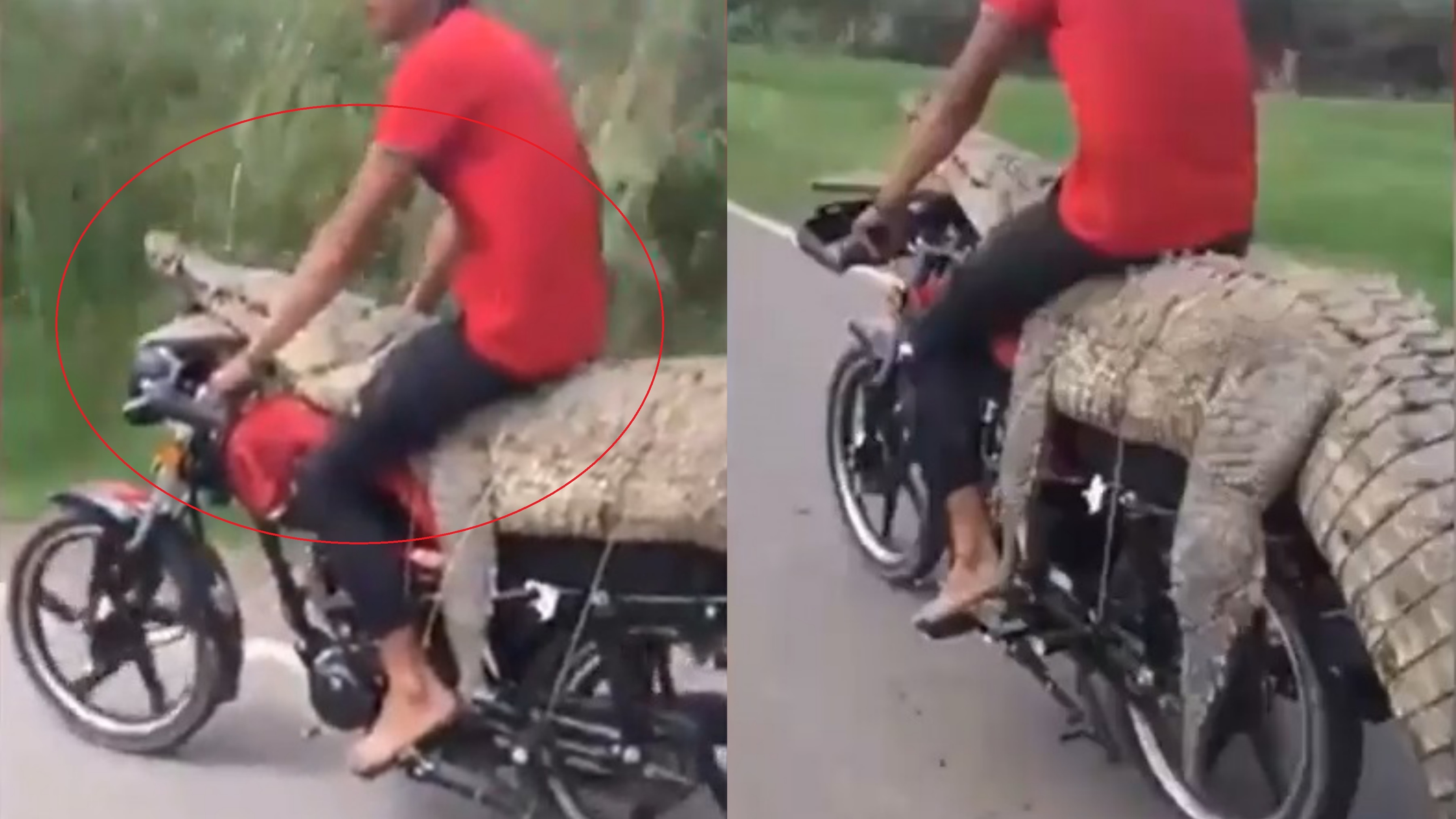 Nam thanh nien ngoi len lung ca sau tren xe may o Mexico hinh anh