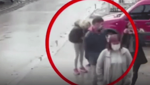 Be gai 7 tuoi bi cho pitbull tan cong o Argentina hinh anh