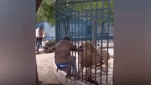 Nhan vien so thu co rut tay khoi mieng su tu hinh anh