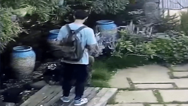 Nam du khach bi phat vi dap do cay xuong rong o Trung Quoc hinh anh